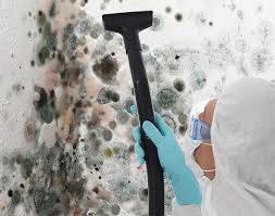 Best Environmental Consulting for Mold Prevention  in Lindenwold, NJ